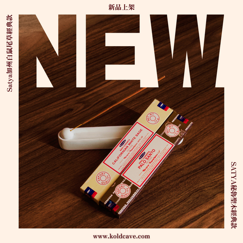 新品上架✨