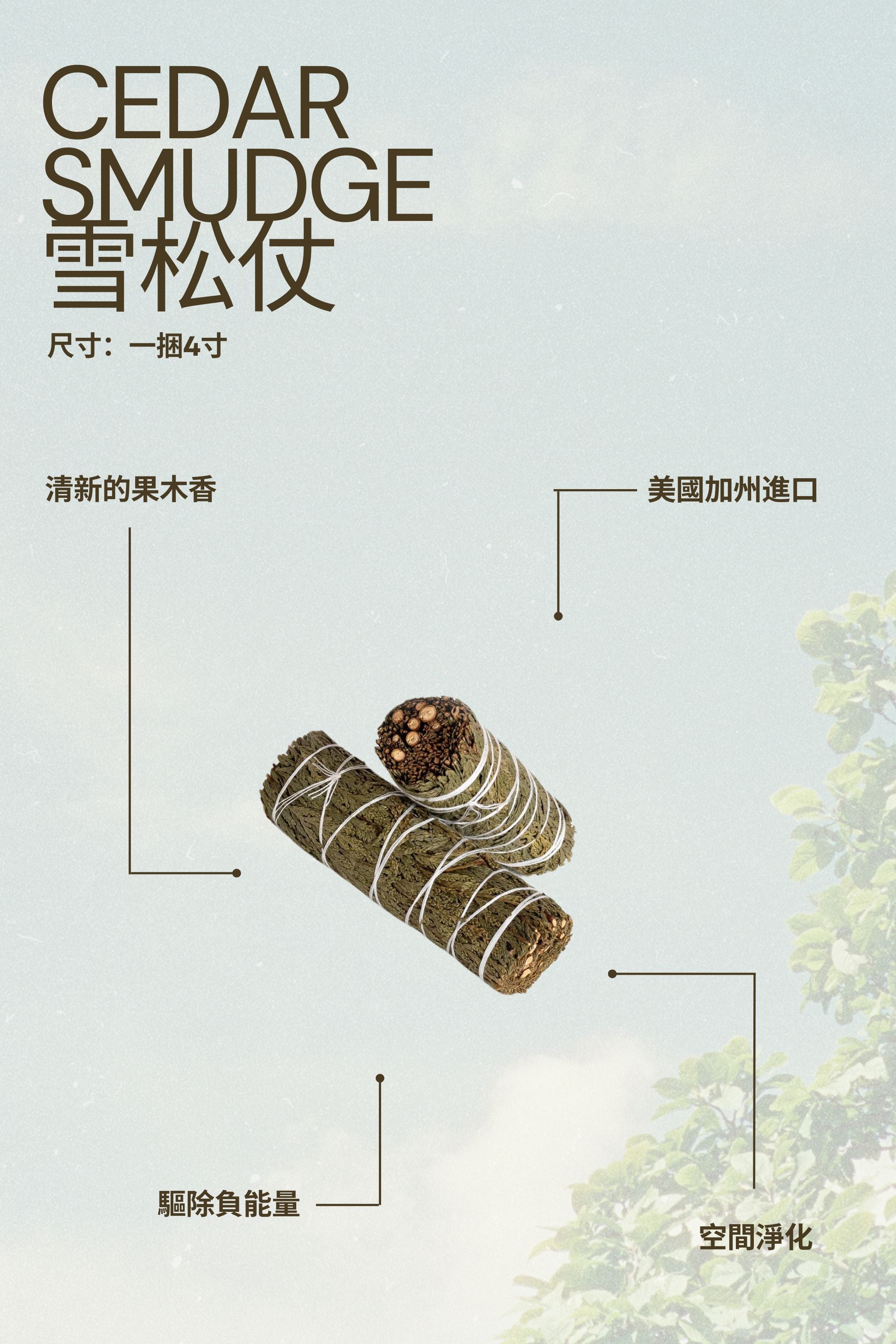 捆裝雪松杖