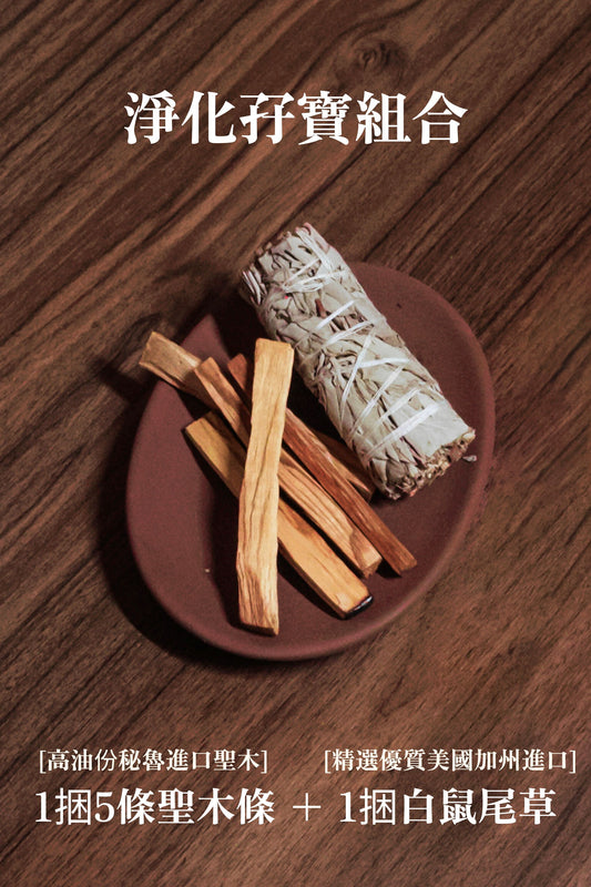 【大掃除必備】淨化孖寶組合