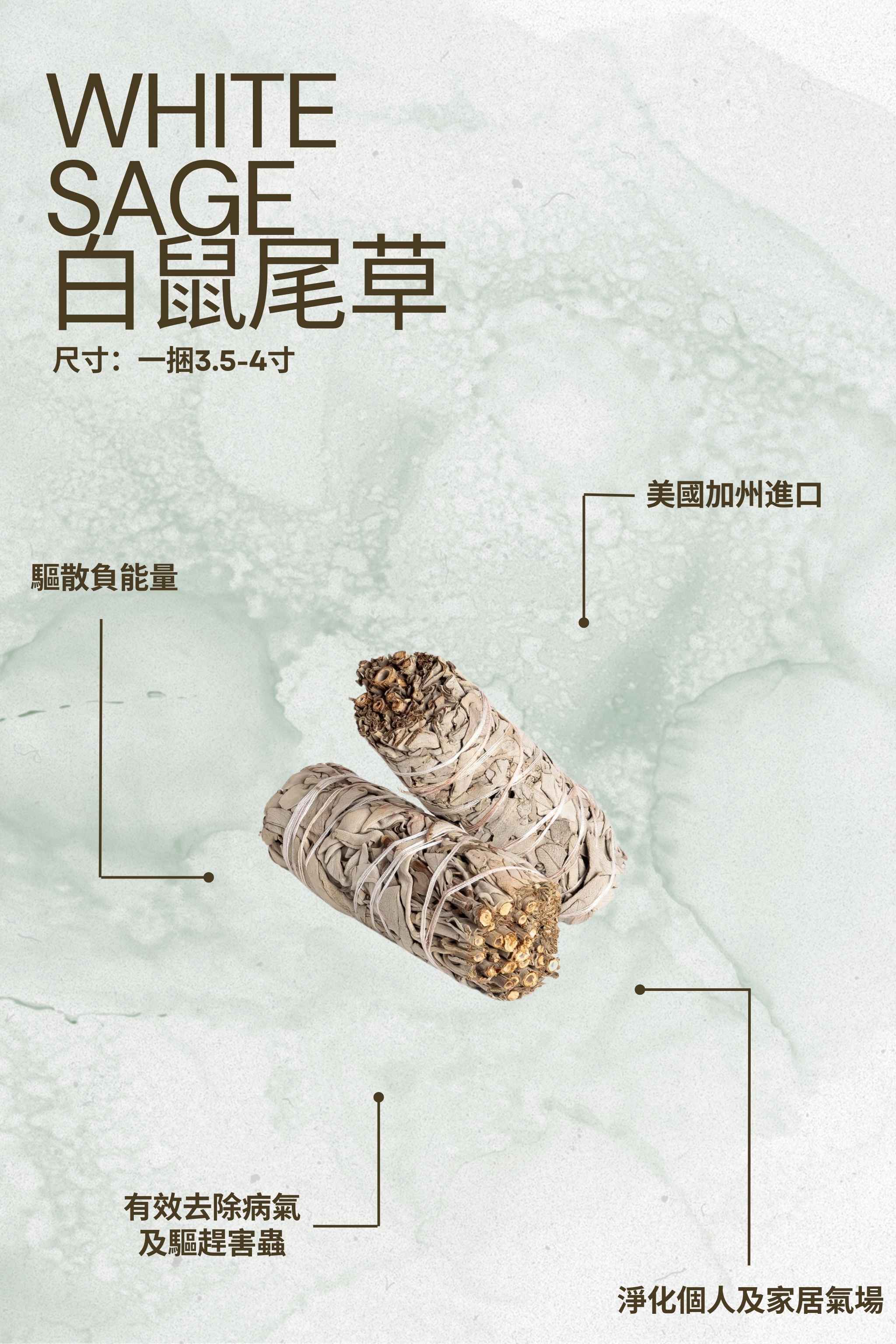 捆裝白鼠尾草